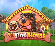 The Dog House